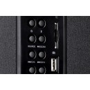 Акустическая система F&D F550X Black